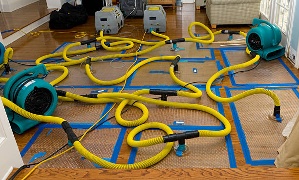 Professional Crawl Space Water Removal technician working in Finley, TN